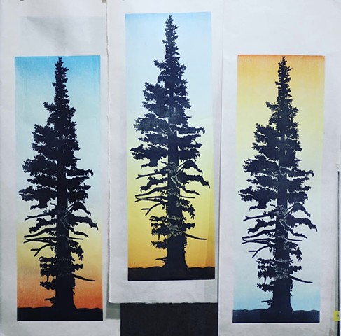 Grandmother Tree
