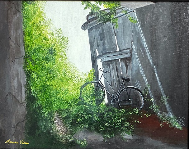 Bicycle in the Wild