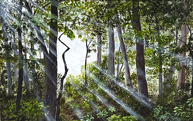 Rays in a Forest
