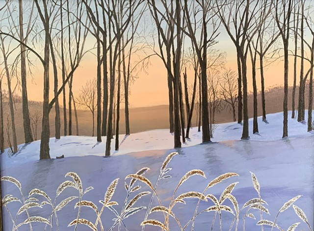 Grass, Trees and Shadows