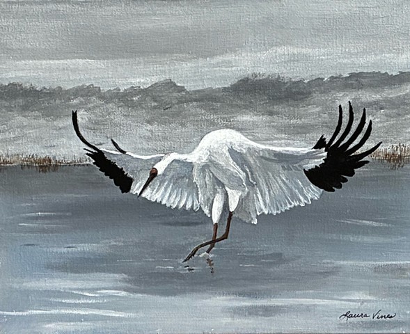 Wings