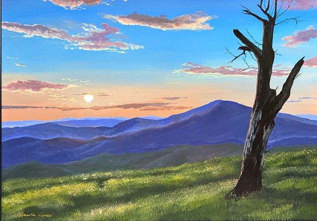 Parkway Overlook