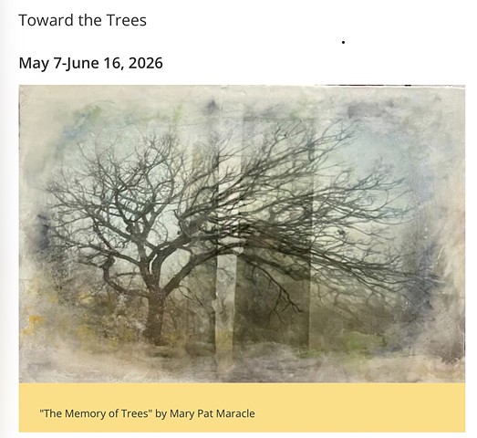 Toward the Trees