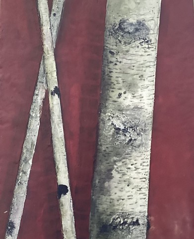 birch, red, love white Celtic striking folklore