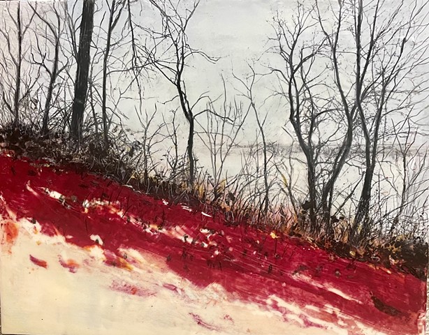 trees bare reds river bluffs wintery spring 