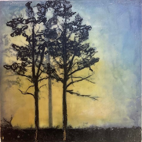 encaustic contemporary landscape with trees nature photography soft color sunset horizon