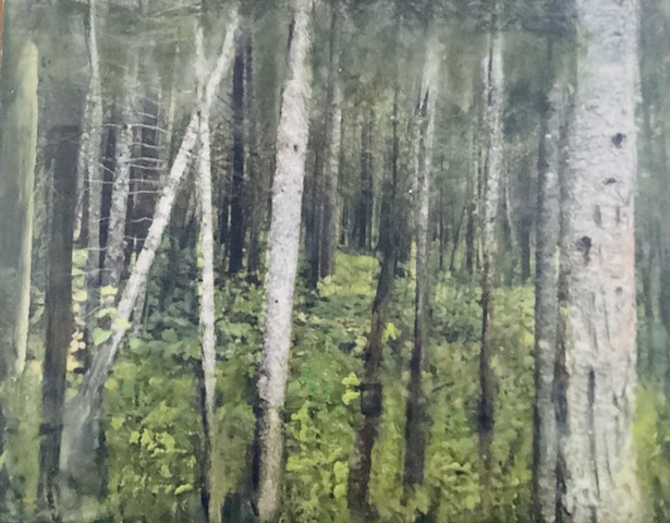 Brookview Community Center Summer Show 2026