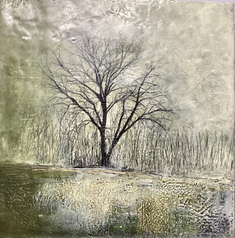 trees,  encaustic , frozen, autumn,  greens, Cherokee, strong, standing guard, 