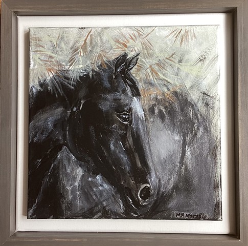 black and white horse head acrylic framed soft eyes 