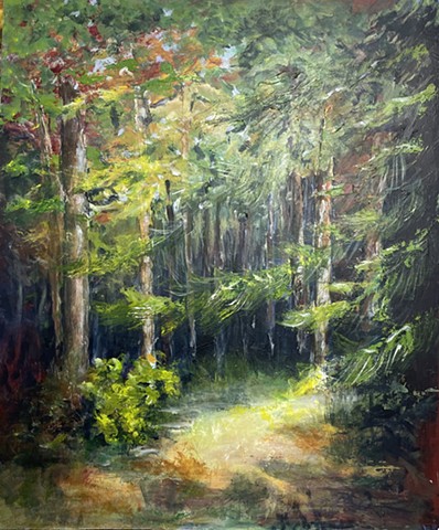 woods, wandering forest lost trees greens sunlit glen