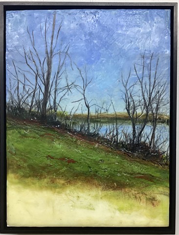 early spring awakening blooming greening Mississippi River bluffs fresh morning dew