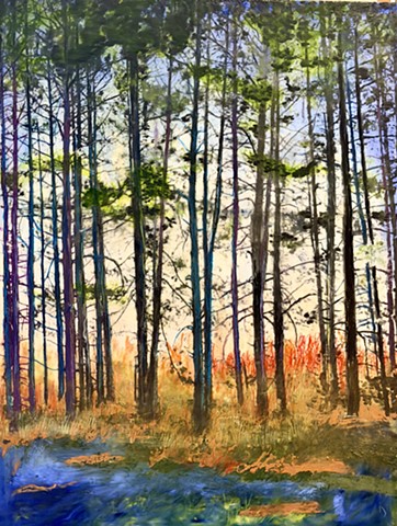 Trees, pines.woods, ancient, tall, highways, remember, protectors