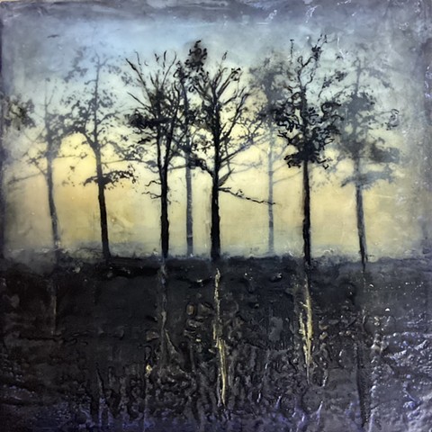 Abstract Contemporary Landscape, Horse Paintings and Ceramics in St. Paul, MN - Mary Pat Maracle