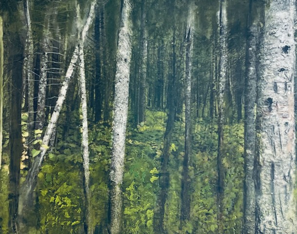 north Shore hike trees trees falll spring walks relax Beaty 