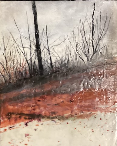 winter, red, cold, Mississippi, trees, tranquil ,moody, stormy, sky, gray ,  