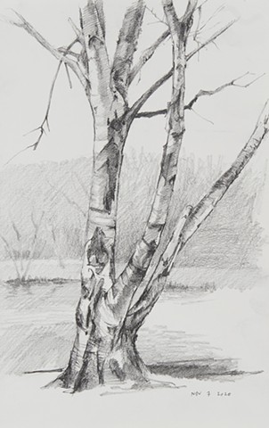 Drawing a Day: 366 Drawings from 2020