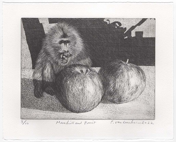 Mandrill and Fruit