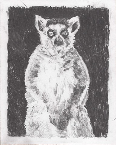 Lemur