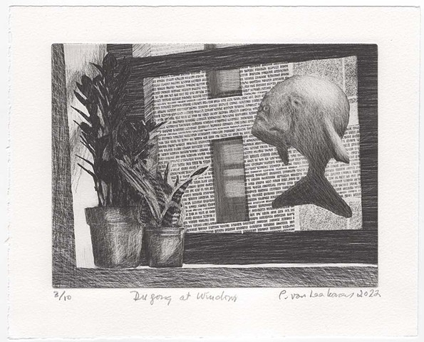 Dugong at Window