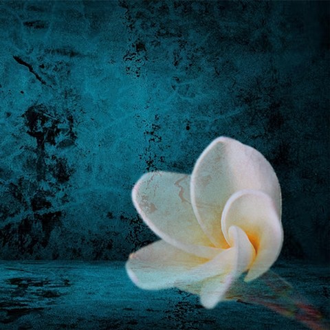 Garden of Lost Souls