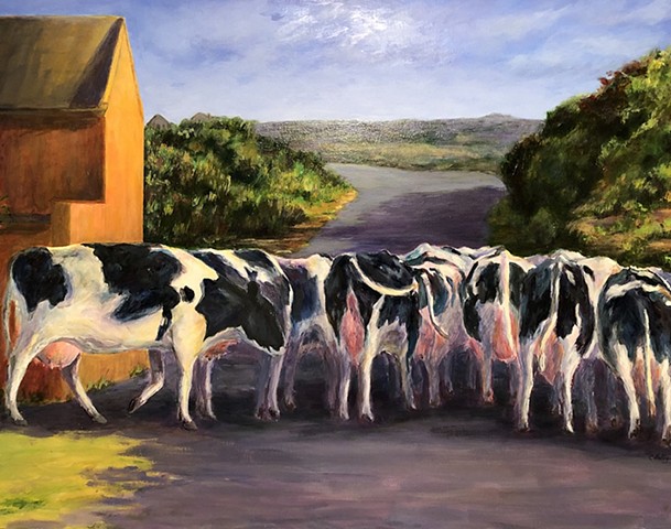 Moo-ned in Kinsale, Ireland