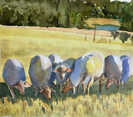 Watercolors
