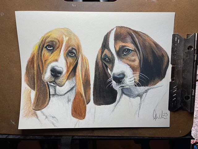 hounds