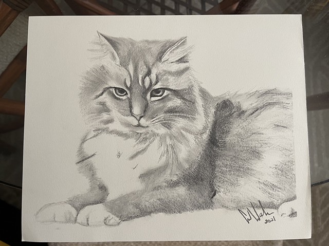 cat