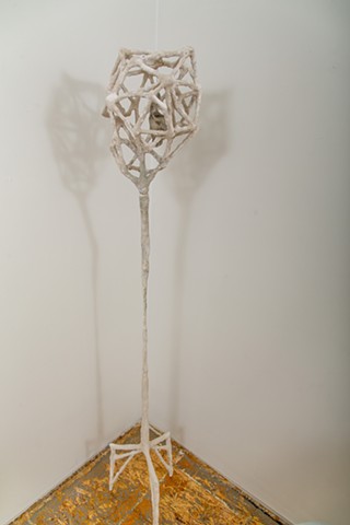 Head Cage