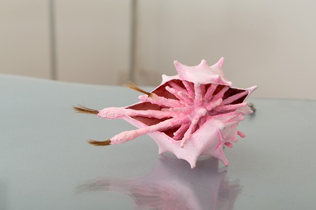 Shell