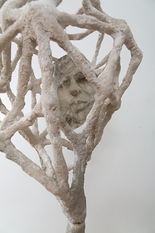 DETAIL: Head Cage