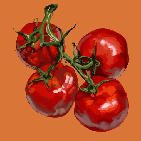 Tomato studies 