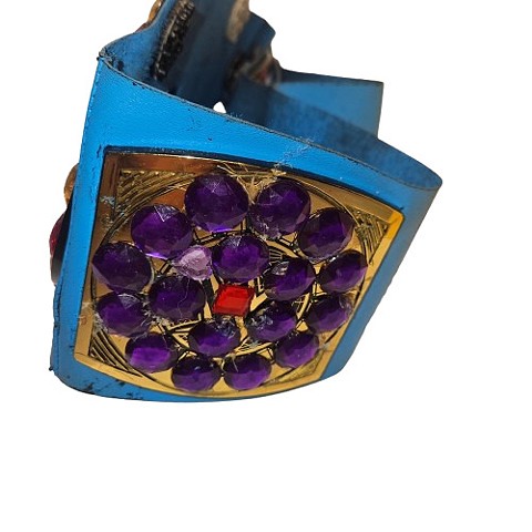 The Jewel Champinship title belt (side plate)