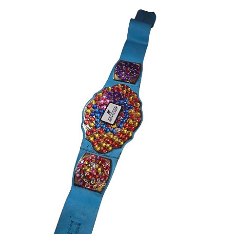 The Jewel Champinship title belt ( most of the length of belt)