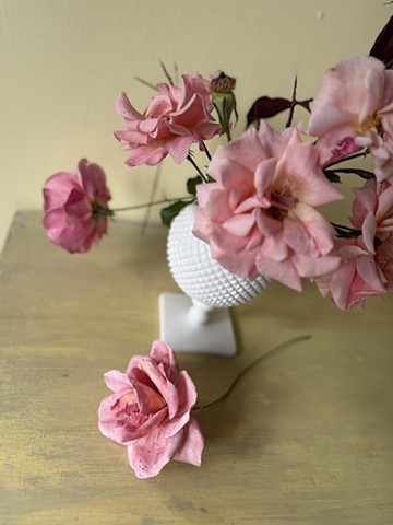 Catalina Grandiflora (on the surface, not in the vase)