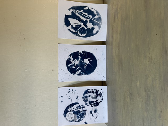 Botanical cyanotypes