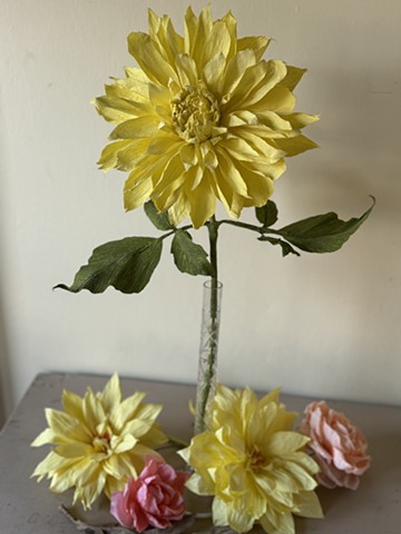 Kelvin Floodlights dahlia