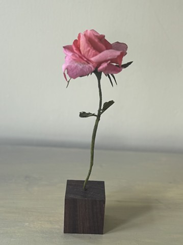 A single stem in a base is great as a tablescape or to brighten up a desk