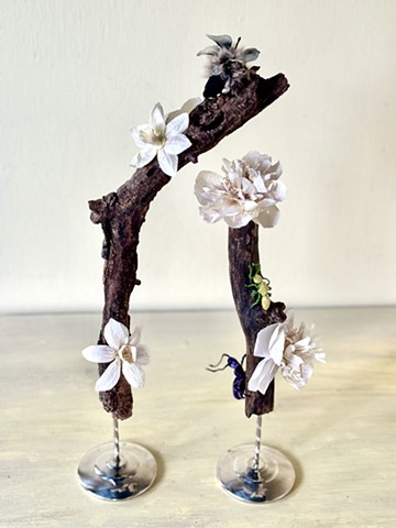 Impossible and Peony Tree