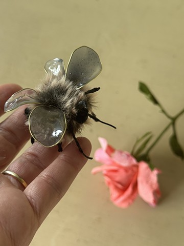 The Enchanted Forest