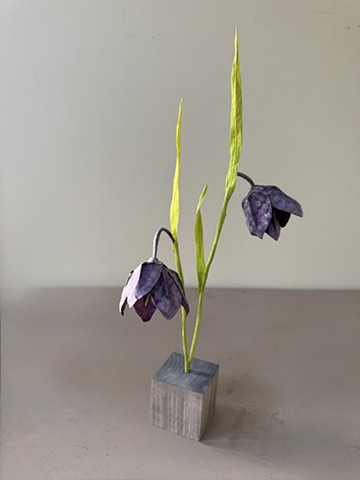 Fritillaria Meleagris