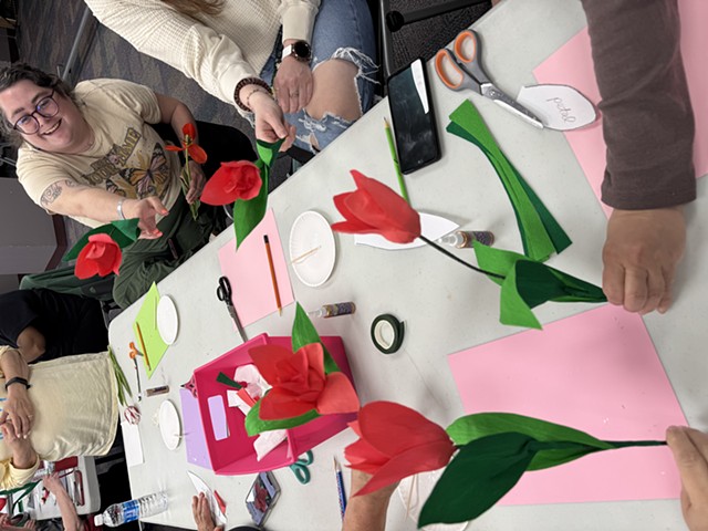 Lily Flowered Tulip class