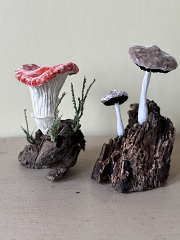 Mushroom tableau 