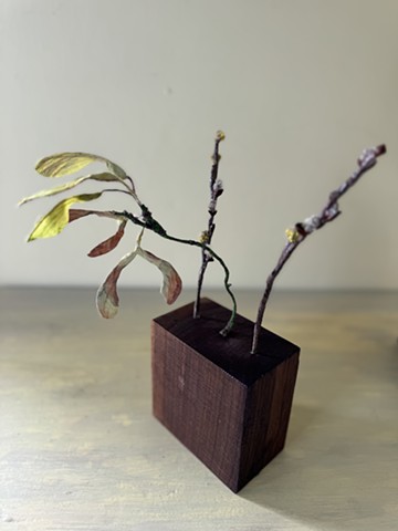 Maple Samaras and Meadow Pussy Willows