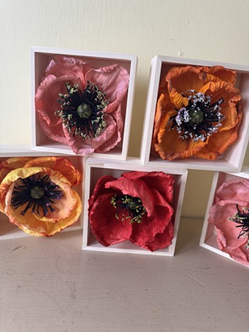 Poppy boxes look nice on a wall or desk, single and in groups 