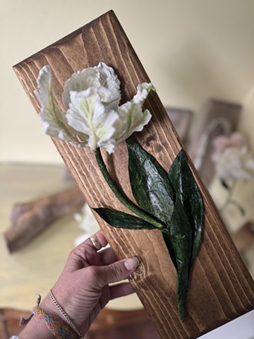 Akebono Parrot Tulip