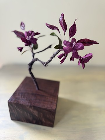 Red Crabapple Blossoms 