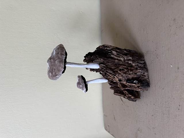 Mushroom, silk and paper