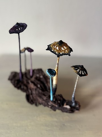 Ink Cap Mushrooms
