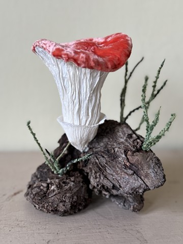 Mushroom, silk and paper